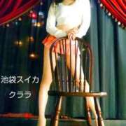 ヒメ日記 2025/11/09 21:35 投稿 クララ スイカ