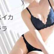 ヒメ日記 2025/11/15 21:03 投稿 クララ スイカ