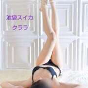 ヒメ日記 2025/11/17 09:15 投稿 クララ スイカ