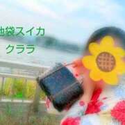 ヒメ日記 2025/11/17 12:15 投稿 クララ スイカ