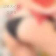 ヒメ日記 2025/11/17 20:29 投稿 クララ スイカ