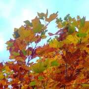 ヒメ日記 2025/11/18 15:32 投稿 クララ スイカ