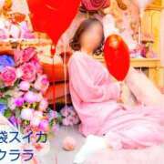 ヒメ日記 2025/11/19 12:44 投稿 クララ スイカ