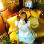 ヒメ日記 2025/11/19 16:38 投稿 クララ スイカ