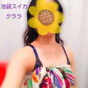 ヒメ日記 2025/11/21 03:01 投稿 クララ スイカ