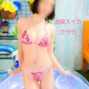 ヒメ日記 2025/11/21 17:15 投稿 クララ スイカ