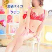 ヒメ日記 2025/11/23 12:29 投稿 クララ スイカ