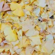 ヒメ日記 2025/11/26 15:47 投稿 クララ スイカ