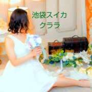 ヒメ日記 2025/11/28 16:15 投稿 クララ スイカ