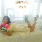 ヒメ日記 2025/12/04 14:12 投稿 クララ スイカ