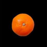 ヒメ日記 2025/12/04 14:43 投稿 クララ スイカ