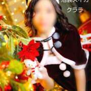 ヒメ日記 2025/12/04 17:17 投稿 クララ スイカ