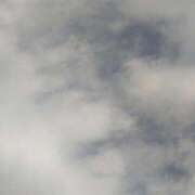 ヒメ日記 2025/12/05 13:57 投稿 クララ スイカ