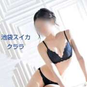 ヒメ日記 2025/12/06 21:21 投稿 クララ スイカ