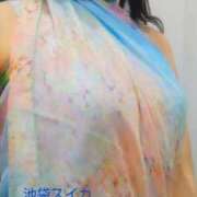 ヒメ日記 2025/12/07 10:11 投稿 クララ スイカ