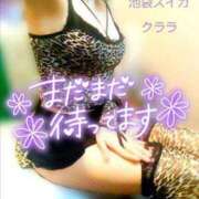 ヒメ日記 2025/12/07 20:28 投稿 クララ スイカ