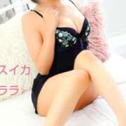 ヒメ日記 2025/12/07 21:25 投稿 クララ スイカ