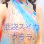 ヒメ日記 2025/12/08 02:56 投稿 クララ スイカ