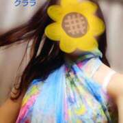 クララ 昨日のこと スイカ