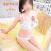 ヒメ日記 2025/12/11 17:30 投稿 クララ スイカ