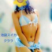 ヒメ日記 2025/12/14 11:43 投稿 クララ スイカ