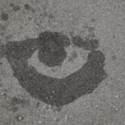 ヒメ日記 2025/12/14 20:17 投稿 クララ スイカ