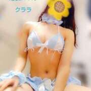 ヒメ日記 2025/12/15 14:29 投稿 クララ スイカ