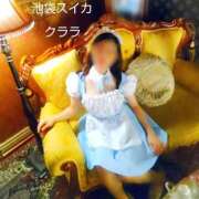 ヒメ日記 2025/12/31 23:52 投稿 クララ スイカ