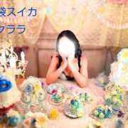 ヒメ日記 2026/01/03 12:35 投稿 クララ スイカ