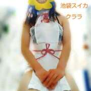 ヒメ日記 2026/01/04 12:53 投稿 クララ スイカ