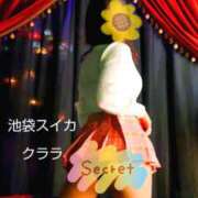 ヒメ日記 2026/01/07 13:15 投稿 クララ スイカ