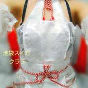 ヒメ日記 2026/01/11 02:43 投稿 クララ スイカ