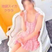 ヒメ日記 2026/01/11 08:30 投稿 クララ スイカ