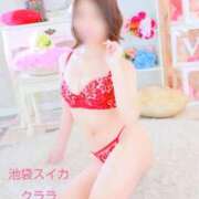 ヒメ日記 2026/01/11 12:44 投稿 クララ スイカ