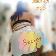 ヒメ日記 2026/01/12 13:08 投稿 クララ スイカ