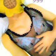 ヒメ日記 2026/01/18 13:07 投稿 クララ スイカ