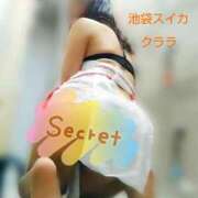 ヒメ日記 2026/01/19 14:02 投稿 クララ スイカ