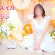 ヒメ日記 2026/01/25 17:29 投稿 クララ スイカ