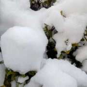 ヒメ日記 2026/02/09 16:47 投稿 クララ スイカ