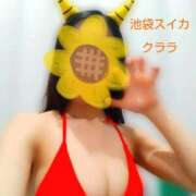 ヒメ日記 2026/02/26 17:32 投稿 クララ スイカ