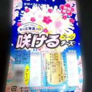 ヒメ日記 2026/03/09 15:15 投稿 クララ スイカ