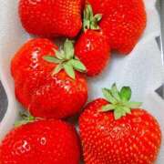 ヒメ日記 2026/03/10 22:02 投稿 クララ スイカ