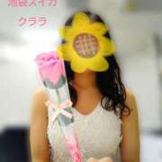 ヒメ日記 2026/03/15 17:19 投稿 クララ スイカ