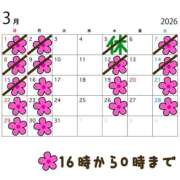 ヒメ日記 2026/03/16 22:16 投稿 クララ スイカ