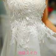 ヒメ日記 2026/03/20 13:00 投稿 クララ スイカ