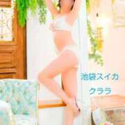 ヒメ日記 2026/03/22 15:15 投稿 クララ スイカ