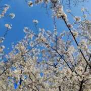 ヒメ日記 2026/03/27 10:29 投稿 クララ スイカ