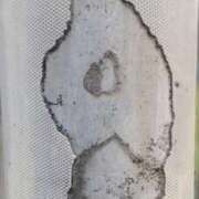 ヒメ日記 2026/03/29 16:58 投稿 クララ スイカ