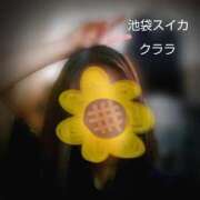 ヒメ日記 2026/03/30 16:50 投稿 クララ スイカ