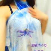 ヒメ日記 2026/04/09 16:51 投稿 クララ スイカ